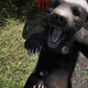 Illustration for article titled Tips For Playing Far Cry 4